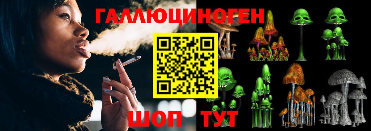 что такое наркотик  Псилоцибиновые грибы мухоморы  Вход с VPN  Вязники 